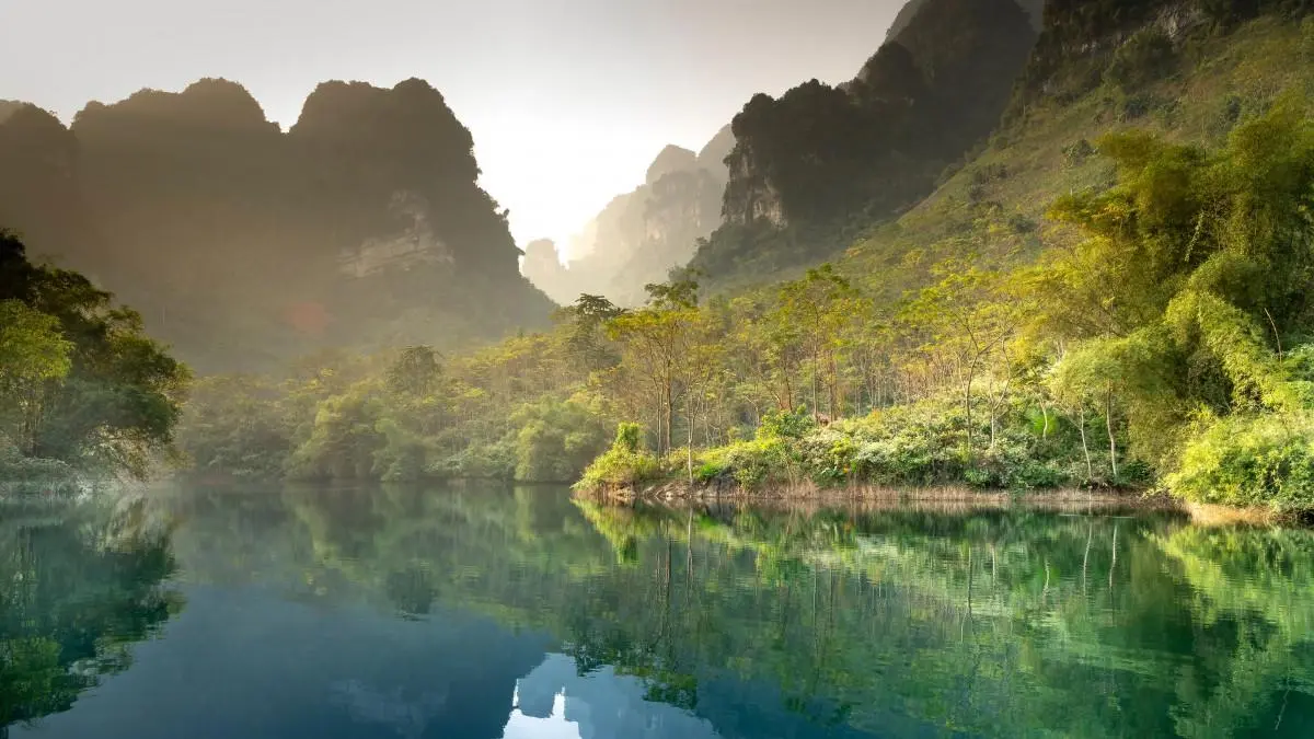 精密高端